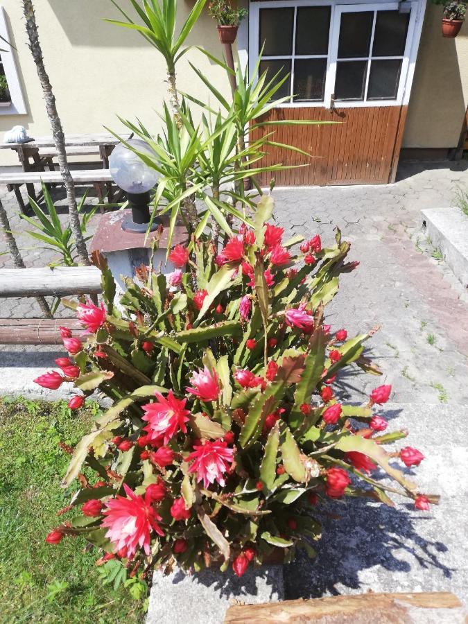 Penzión Baltazár Liptovska Luzna Esterno foto